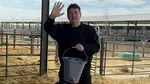 Gabriel Oprea anunță o investiție de 5 milioane de euro în ferma Black Angus deținută de Gigi Nețoiu