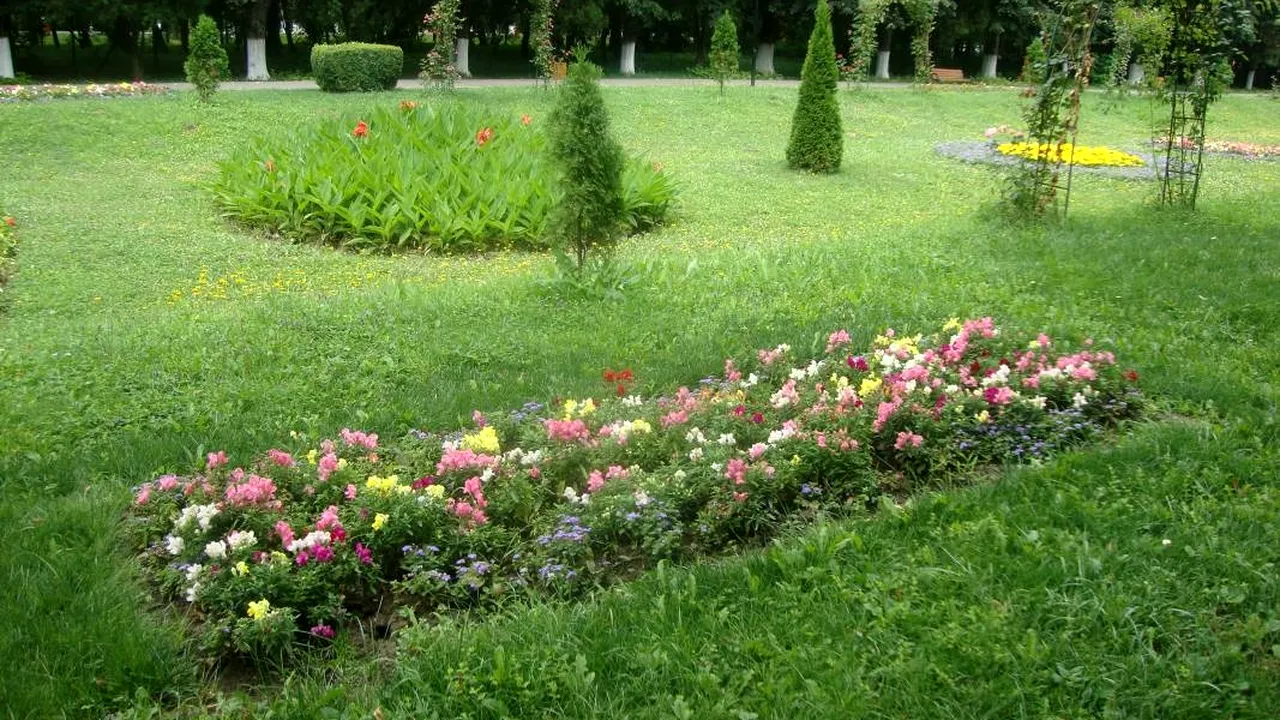 Invazie de țânțari, căpușe, șobolani și viespi într-un renumit parc din Ploiești