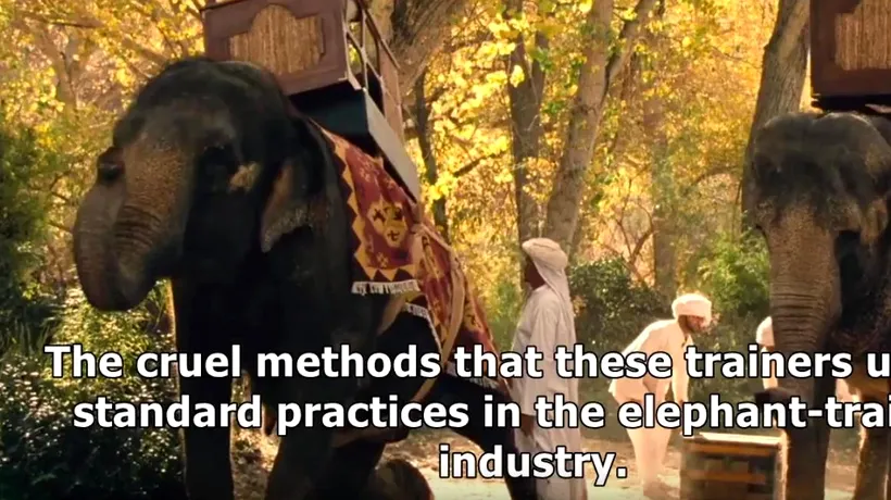 Ironia filmului: HBO, criticat după ce a folosit elefanți reali într-un serial despre roboți
