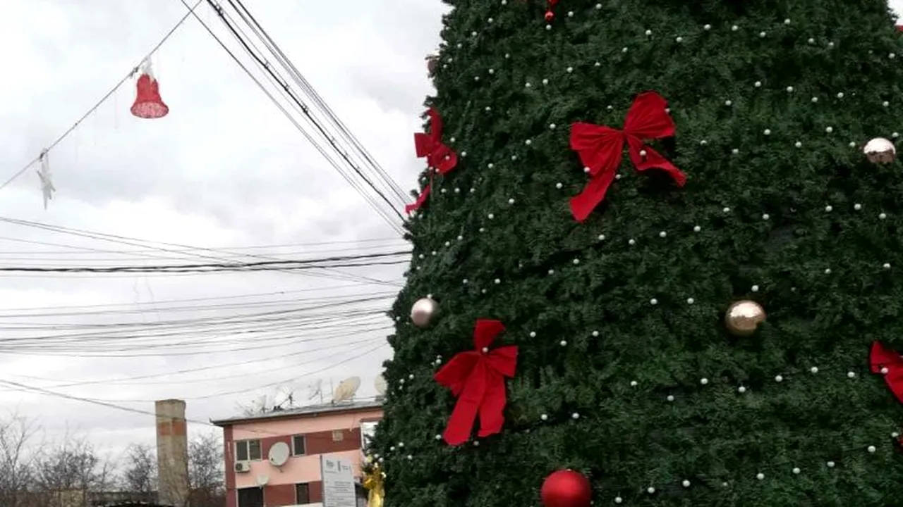 Inițiativa neobișnuită a autorităților din Bârlad, care cereau de la oameni brad de Crăciun, a eșuat: Nu erau de pus în fața primăriei