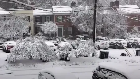 VIDEO | O furtună de zăpadă a blocat Washington și a anulat peste jumătate din zboruri. Joe Biden a avut probleme la coborârea din Air Force One, din cauza viscolului