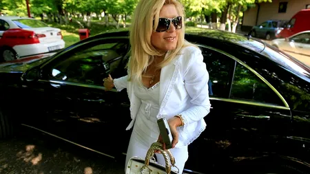 „Dacă Elena Udrea ar prezenta produsele unei mari firme de cosmetice, și-ar atinge gradul de competență maximă