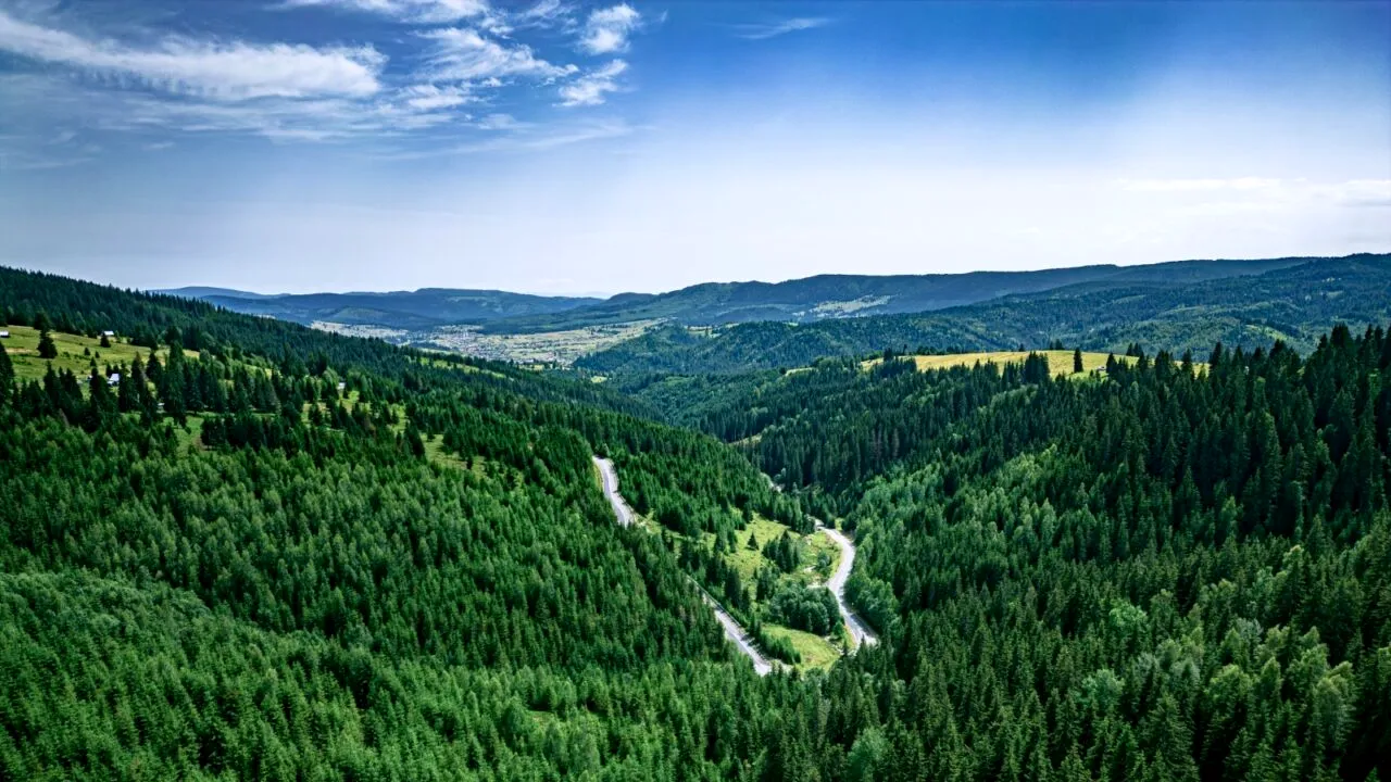 Bilbor, biodiversitate UNICĂ în România