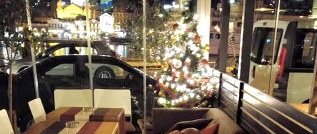 ''Crăciunul cățeilor'' în Grecia: o cafenea găzduiește noaptea patrupedele fără stăpân, ca acestea să nu moară de frig