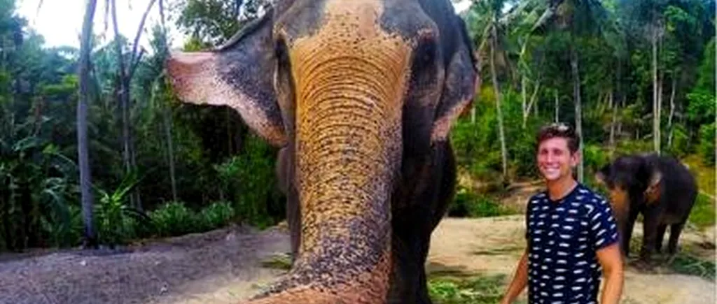 Fotografia săptămânii: un elefant a furat telefonul unui turist și și-a făcut un selfie