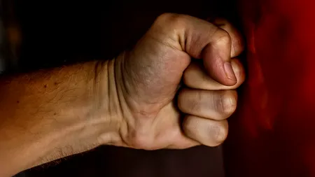 Pădurar bătut de hoții de lemne: „M-a lovit cu pumnul, apoi cu o coadă de bici, ceva metalic”