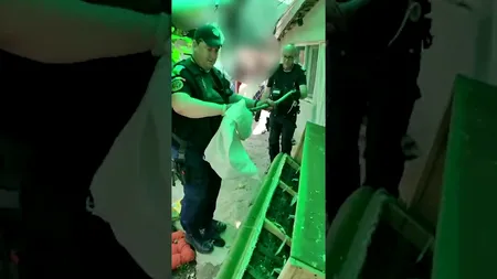 VIDEO | O familie din Tulcea a descoperit un șarpe ascuns într-o canapea. Oamenii au sunat la 112