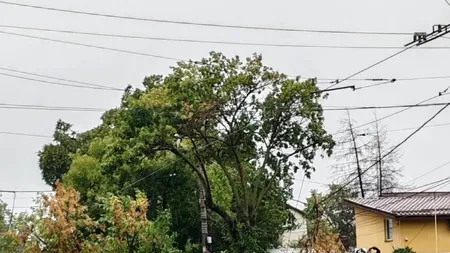 DESPĂGUBIRI pentru șoferii din Sectorul 2 care au mașinile avariate după furtună. ANUNȚ făcut de primarul Rareș Hopincă