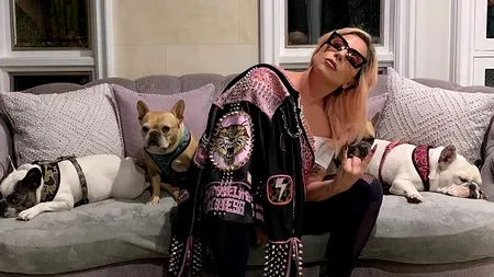Au fost găsiți câinii cântăreței Lady Gaga / VIDEO cu momentul în care au fost furați, iar cel care îi plimba a fost împușcat!