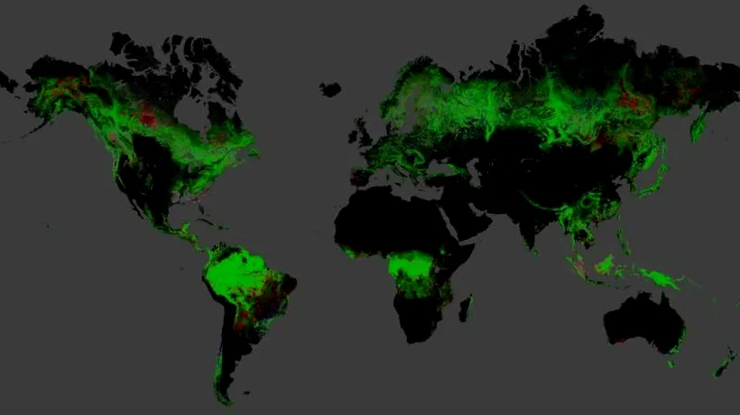 Cum arată România pe harta Google a despăduririlor