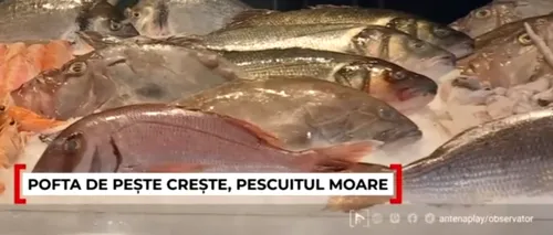 Peștele românesc din Marea Neagră, tot mai rar în galantare! România importă pește și fructe de mare din ȘASE țări