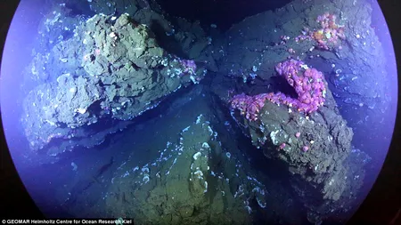 Lumea vulcanilor ascunși. Primele imagini cu vulcanii subacvatici au fost dezvăluite