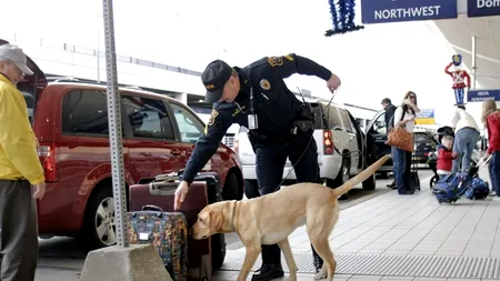 Alertă falsă cu bombă la Los Angeles, lângă clădirea unde va avea loc gala Oscar 2015