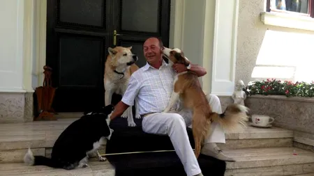 Fotografii cu președintele Băsescu înconjurat de câinii săi, postate pe Facebook. 