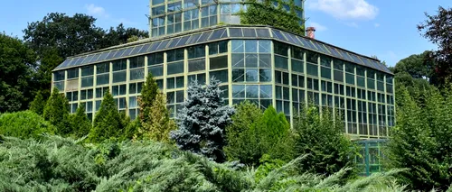 Instalații de artă, în Grădina Botanică din București