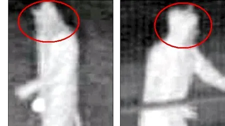 ULTIMA MODĂ printre tâlhari: să se costumeze în pisică