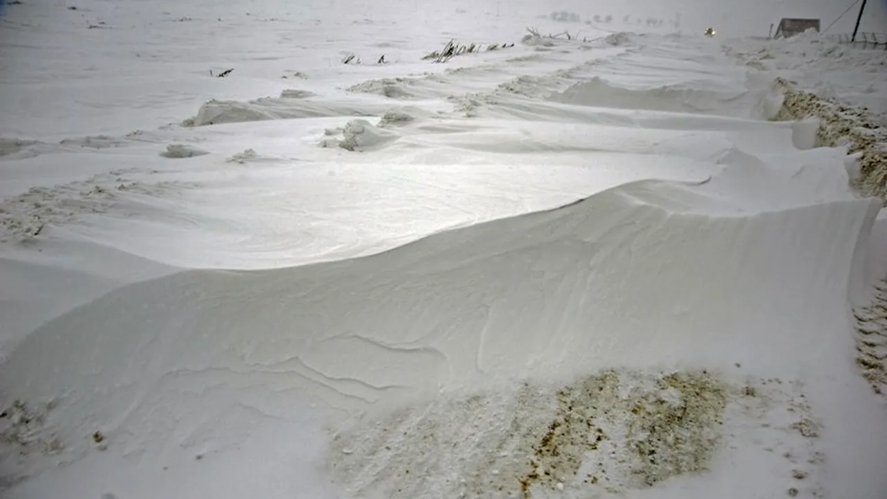 DRUMURI BLOCATE. Un camion cu deținuți, 2 automotoare și un autobuz cu pasageri, blocate în țară din cauza viscolului