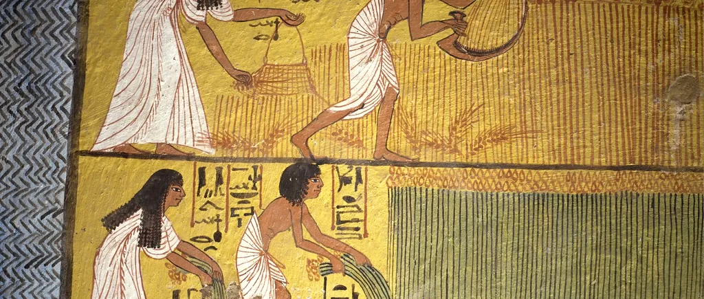 Ești stresat din cauza TAXELOR? Egiptenii antici sunt cei care le-au inventat din anul 3000 î.Hr.