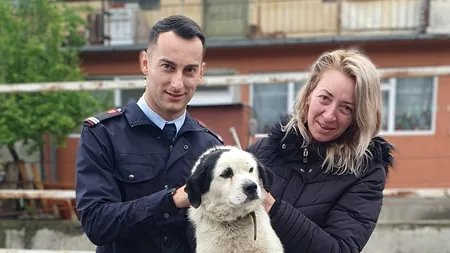 VIDEO | Câine salvat de la înec de un pompier, în Drobeta Turnu-Severin