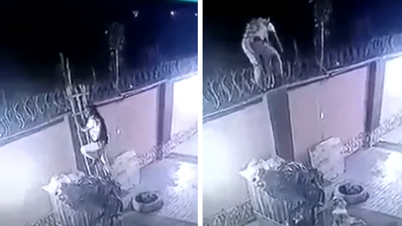 La 4 săptămâni de la nuntă, un bărbat a aflat că soția îl înșală. Detaliul observat în imaginile filmate noaptea, de camerele de supraveghere din curte