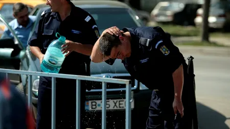 Poliția Rutieră: Evitați deplasările cu mașina între orele 10.00 și 18.00, în zilele caniculare