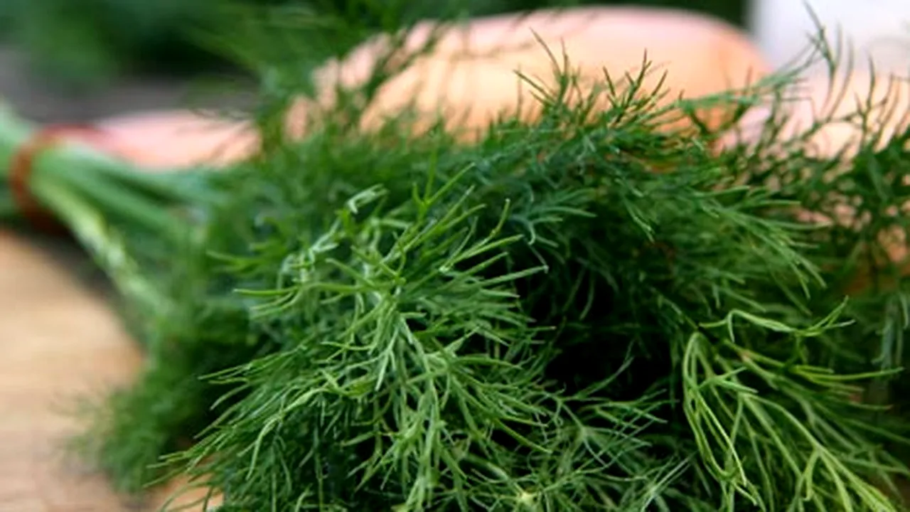 De ce e bine să mâncăm cât mai mult mărar iarna