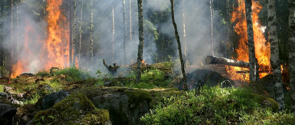 Un german a fost arestat în Spania pentru că a provocat intenționat șapte incendii de vegetație