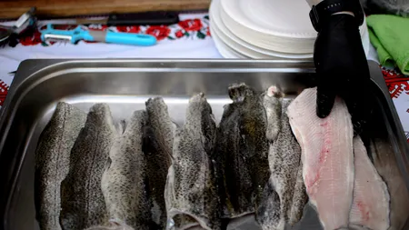 Peștele din Dunăre, periculos pentru sănătate. „Conține metale grele care pot provoca afecțiuni oncologice”