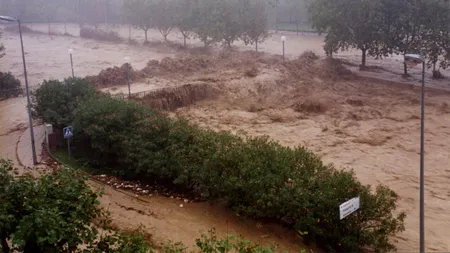 Copil agățat timp de opt ore de creanga unui copac. Cum a fost salvat de INUNDAȚII