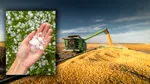 Criza politică blochează agricultura. În timp ce România este traversată de un episod de furtuni, sistemul antigrindină rămâne nefuncțional