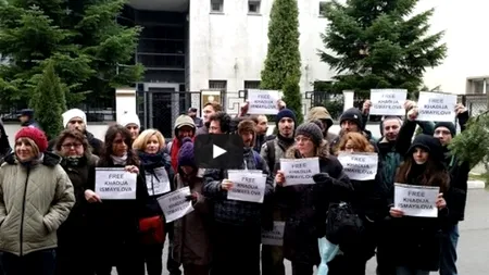 Jurnaliștii RISE Project au câștigat premiul special al juriului la Pulitzer-ul european