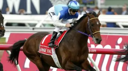 Calul favorit al cursei de la Melbourne Cup a încheiat pe ultimul loc și a murit imediat după ce a trecut linia de sosire