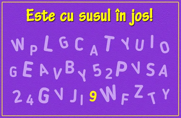 Test de perspicacitate | Găsiți cifra 6 în această poză!