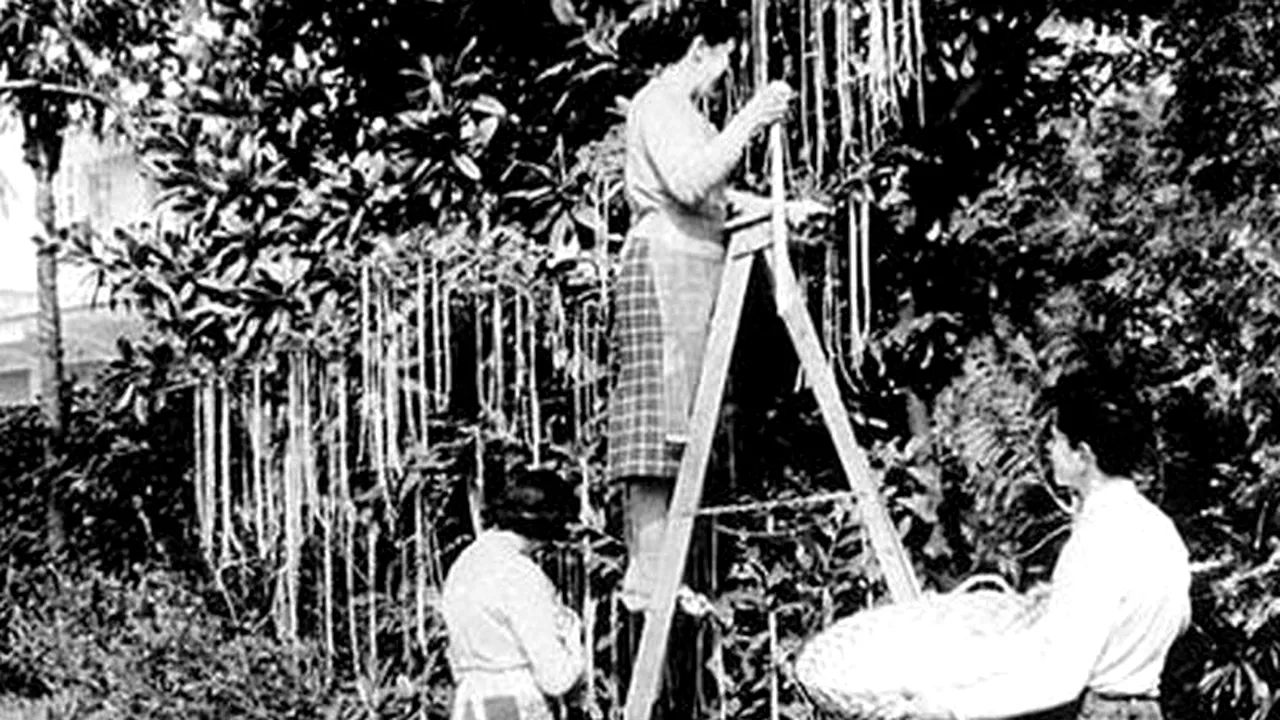 ZIUA PĂCĂLELILOR. Tradiții și obiceiuri de 1 Aprilie. Originea acestei zile și farse celebre