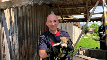 BRAȘOV. Pisicuță salvată de pompieri, după ce a căzut într-o fântână adâncă de 25 de metri (VIDEO)