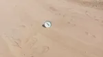 Muncă în câmp la 42 de grade în „SAHARA” Olteniei. Oamenii nu-și părăsesc bostanele nici în zilele toride: „Pepenii se strică în nisip!”