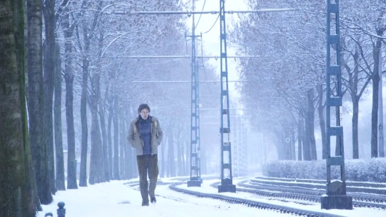 Muzeul Țăranului Român găzduiește Săptămâna Filmului Maghiar la București