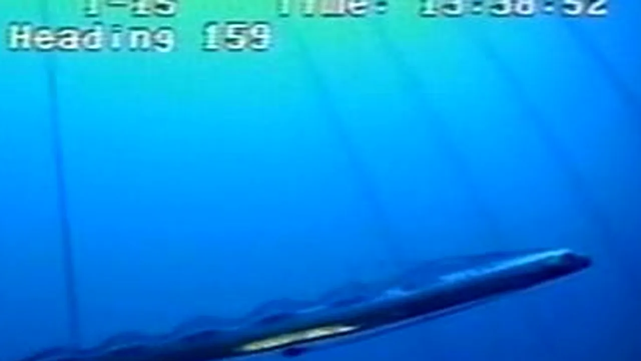 Cum arată cel mai lung pește descoperit de cercetătorii americani VIDEO