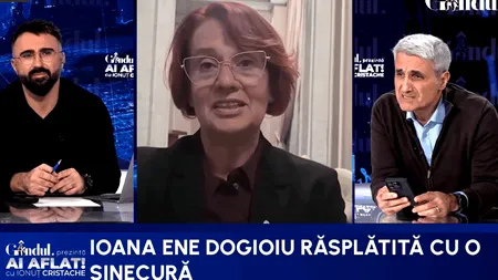 Robert Turcescu o contrează pe Dogioiu pe definiția sinecurii: 