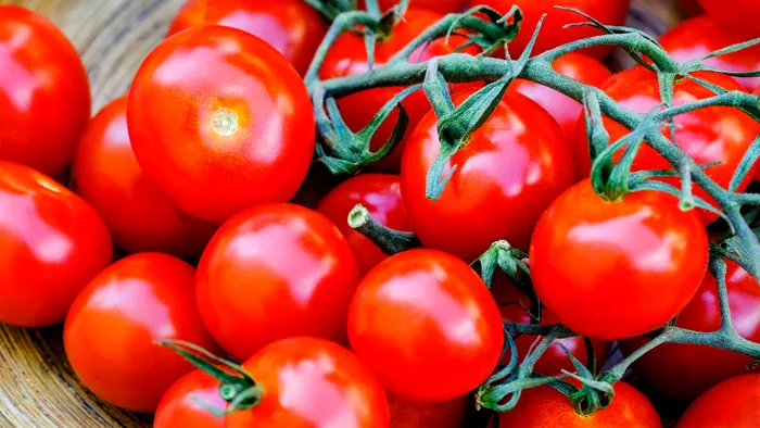 Cât costă primele roșii românești la piață. Nu toți românii își vor permite să le cumpere