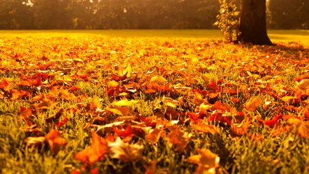 METEO. Vremea se încălzește. Temperaturile ajung și la 24 de grade Celsius