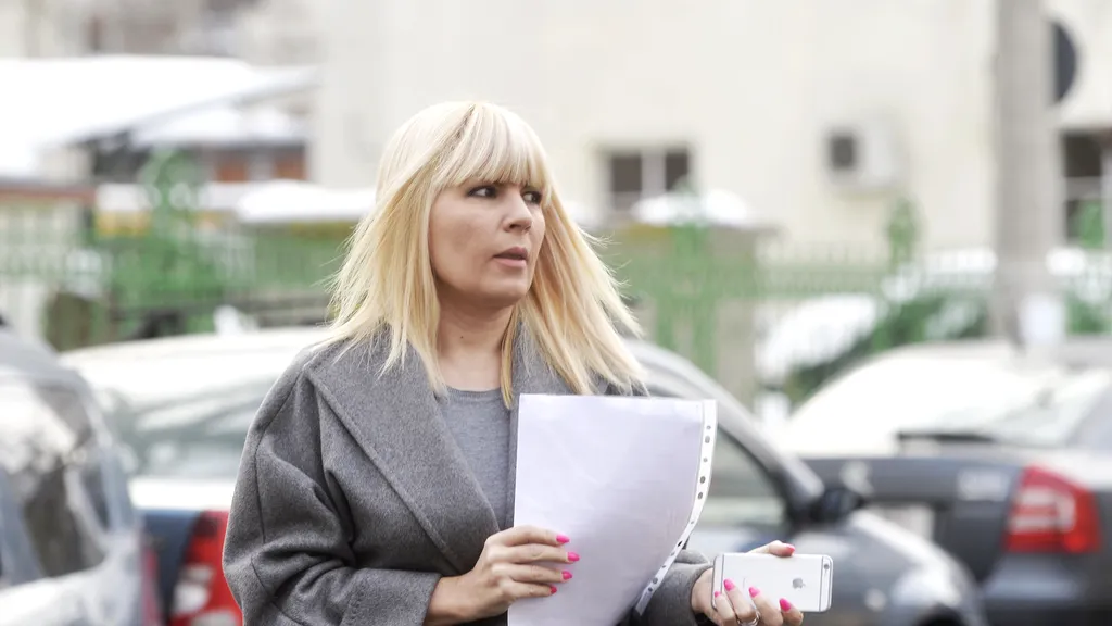 Elena Udrea sesizează CCR, nemulțumită că i-au fost confiscați 4,7 milioane de euro