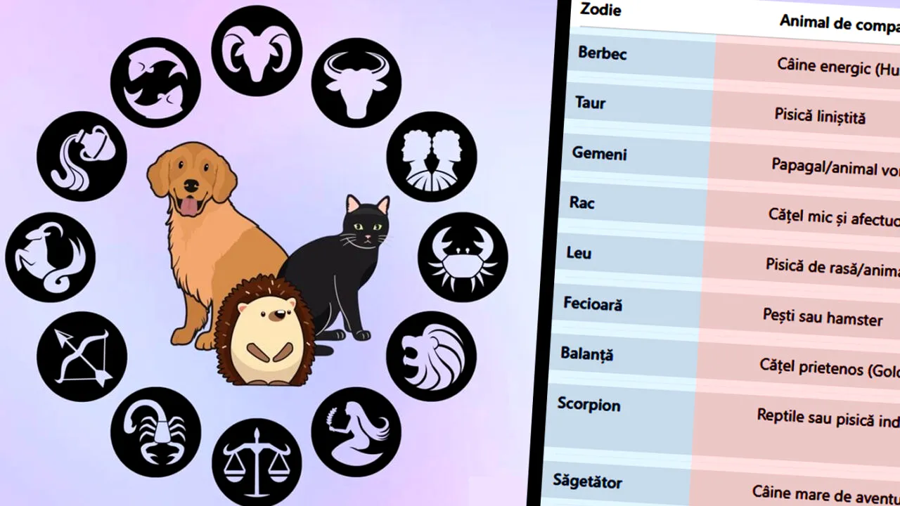Ce animal de companie ți se potrivește, în funcție de zodie. Care sunt singurii nativi care nu ar trebui să aibă unul