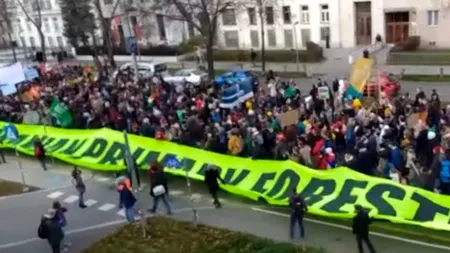 Împreună pentru păduri | Protest în fața Ministerului Mediului din Viena, față de tăierea pădurilor din România: „O serie de firme austriece toacă anual milioane de arbori din România