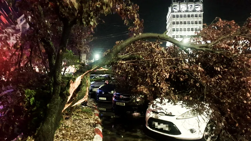 Mai mulți copaci și bucăți de acoperiș au căzut pe drum și pe mașini în Dâmbovița. Avertizările meteo în vigoare în toată țara