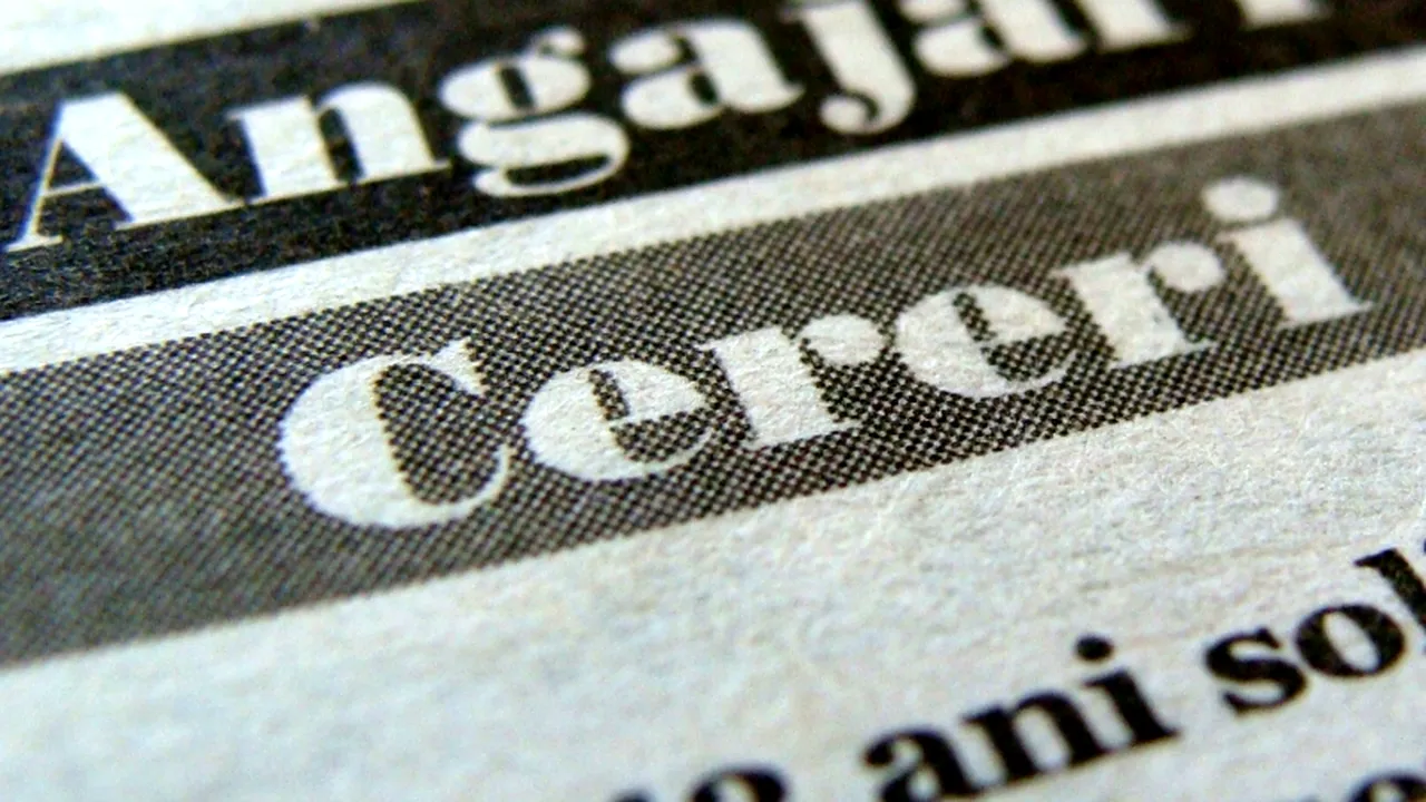 Doar în trei județe și în București rata de ocupare a populației este de peste 30%. În 24 de județe, doar doi din zece locuitori au un loc de muncă