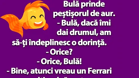 BANC | Bulă prinde peștișorul de aur: „Dacă-mi dai drumul...”