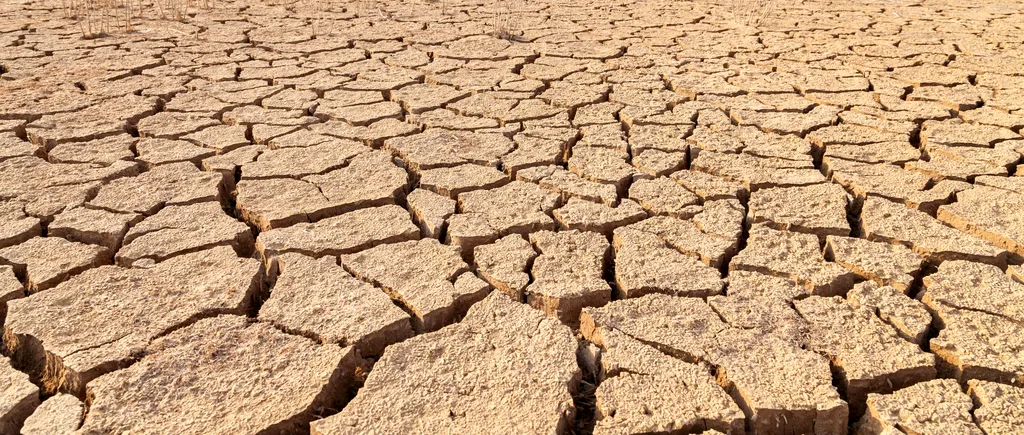 Dezastrele cauzate de secetă amenință dezvoltarea globală. ONU avertizează: „Seceta este pe cale să devină viitoarea pandemie”