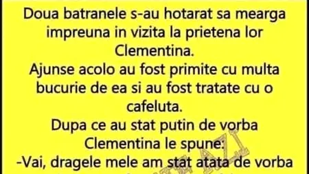 BANCUL ZILEI | Două bătrâne merg în vizită la prietena lor, Clementina