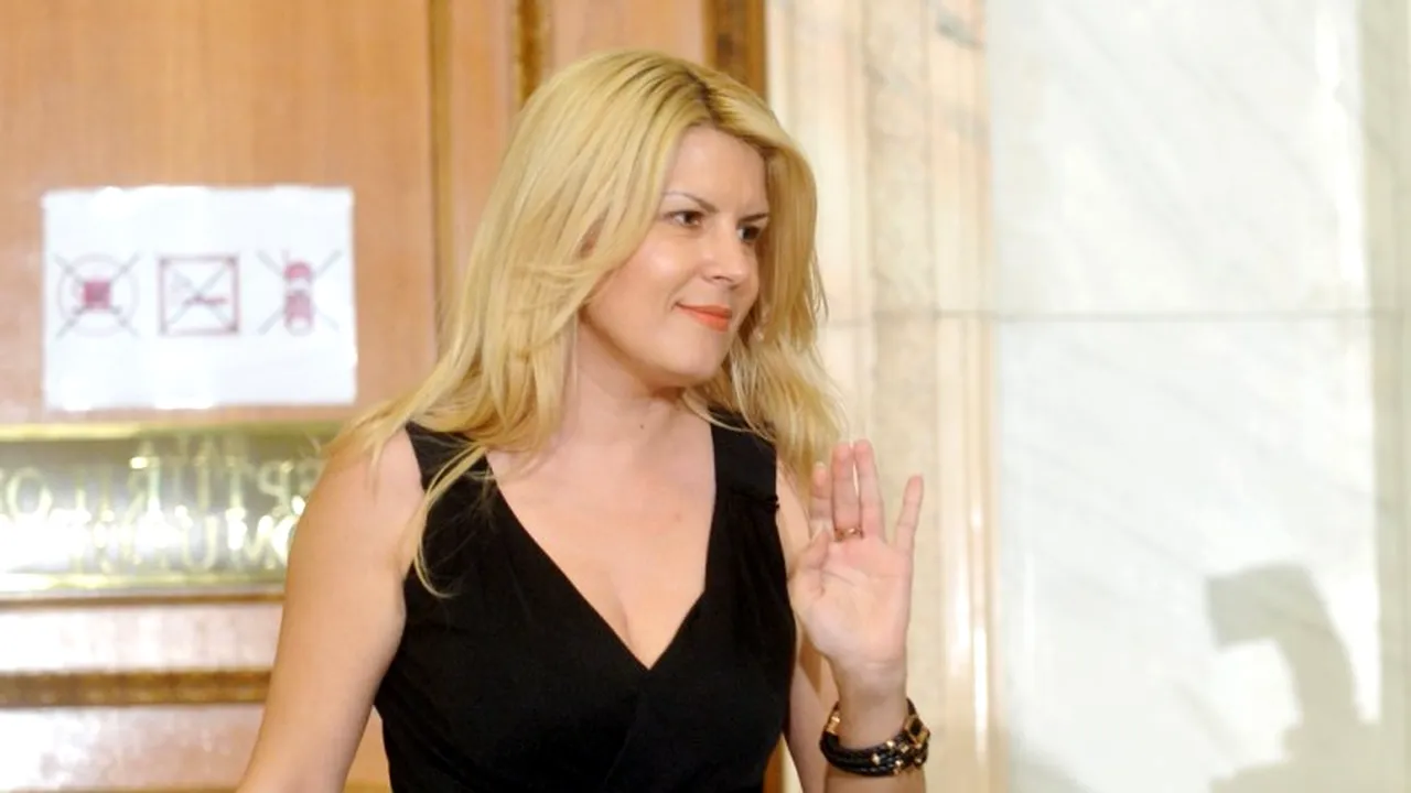 Cum vrea Elena Udrea să restructureze partidul: 